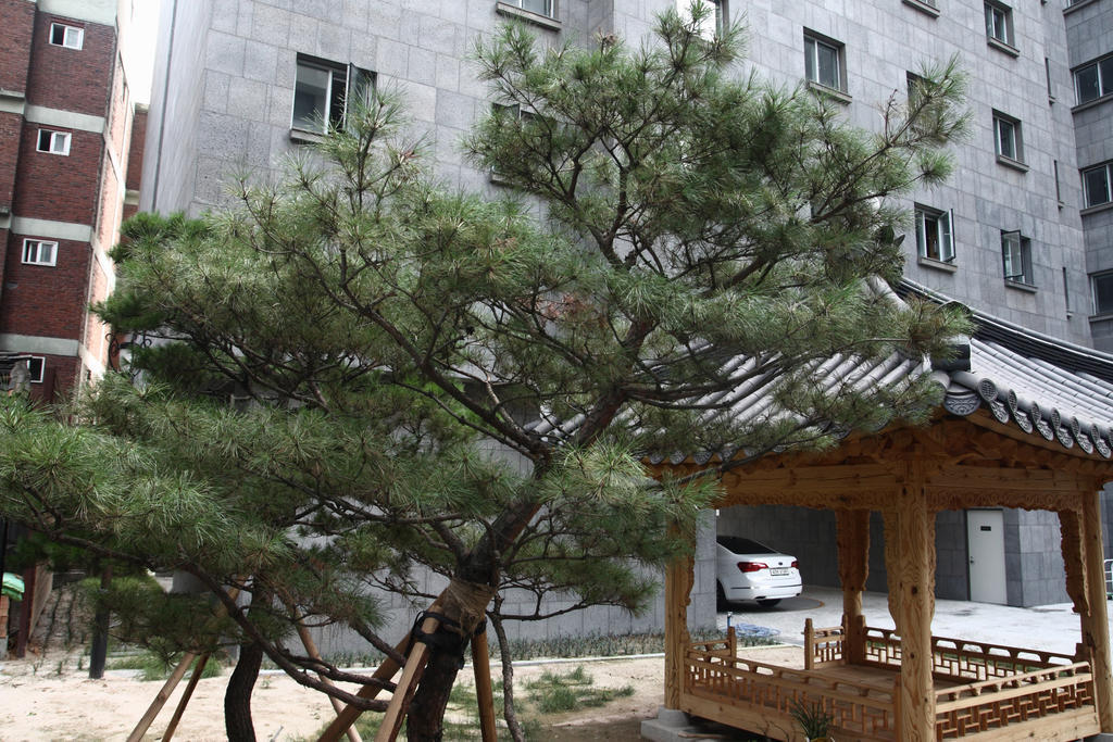 Fortune Hostel Jongno Seoul Exterior foto